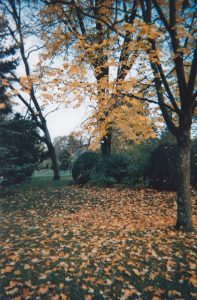 Autumn (3) Autumn (3)