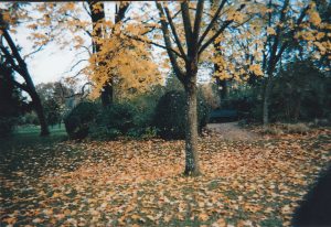 Automne (5) Automne (5)